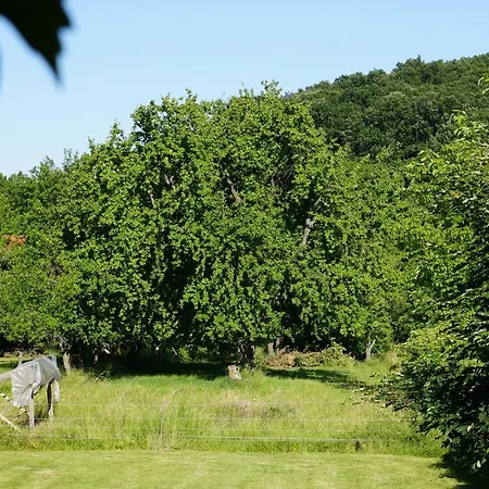 Rural Idyll - Videki Idill Orfu