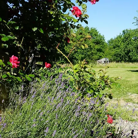 Rural Idyll - Videki Idill Holiday home Orfu