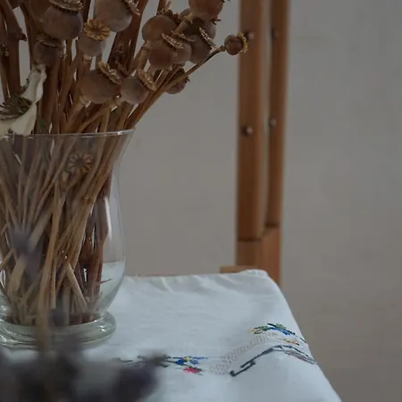 Rural Idyll - Videki Idill Holiday home *