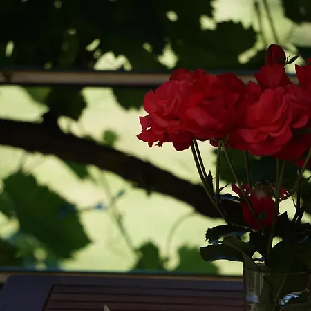 Holiday home Rural Idyll - Videki Idill